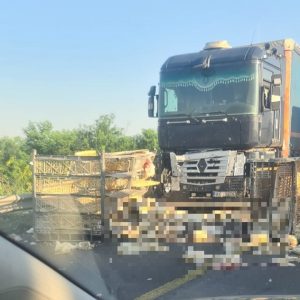 Măcel! Un TIR s-a ciocnit cu o autoutilitară care transporta cuști cu găini - FOTO